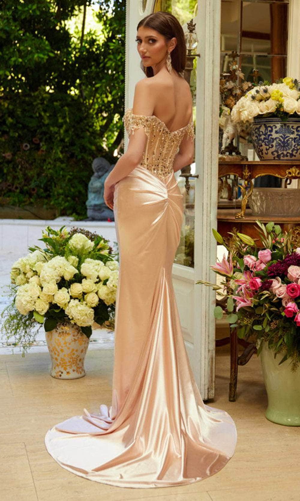 Elizabeth K GL3618 - Embellished Mesh Corset Prom Gown