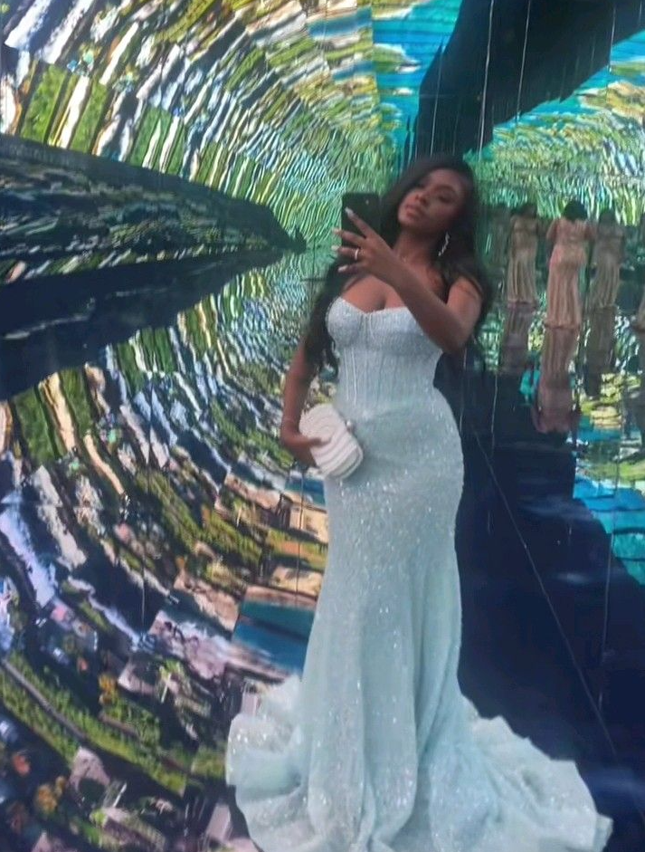 Light Blue Mermaid Long Prom Dresses Formal Evening Dress  fg7622